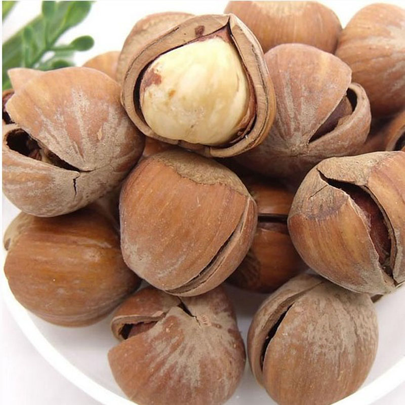 Nut Snacks Special Produce Northeast Wild Opening Hazelnut 500g Milky Scent Raw Water Drain Hazelnut Fried