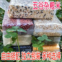  Five grains millet black rice Red rice Barley rice Sorghum glutinous rice Red beans Mung beans Black beans soybeans with 1 kg