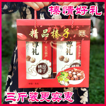 Wild Big hazelnut A class Three catties Gift Box Clothing New Goods Special Production Practical Gift Rind Full Hand Pat Opening Fresh Fried Cooked