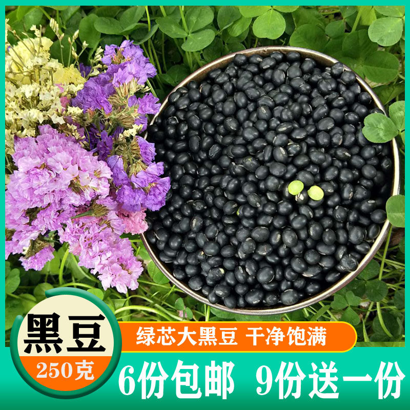 Green Heart Black Bean 250g Wuku Cereals Farmhouse Self production Northeastern Ties Big Black Bean Green Core New Cargo Soybean Milk Bulk
