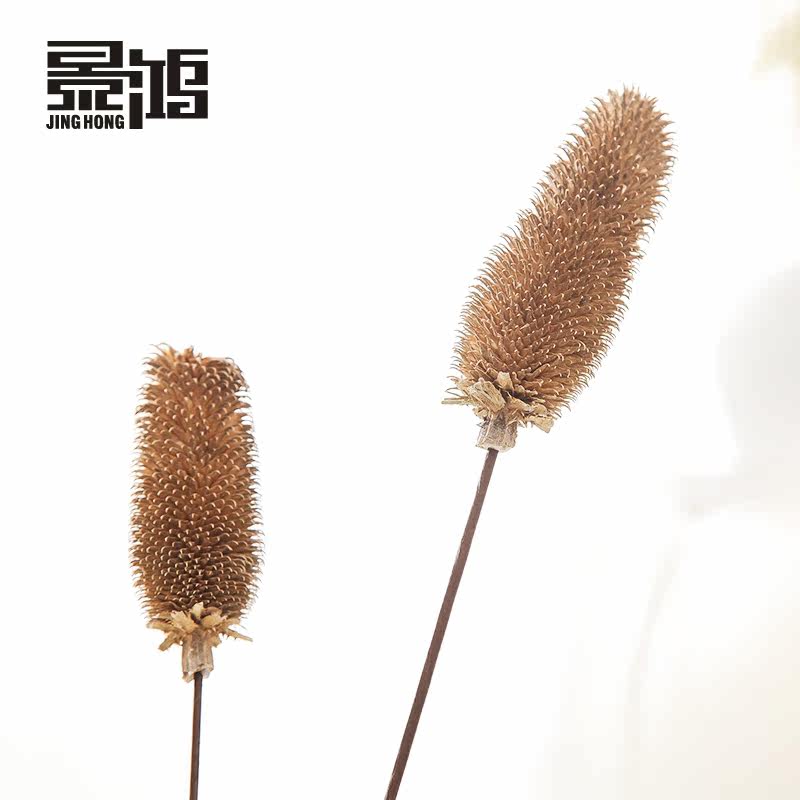 ������ë��/��԰װ�λ�