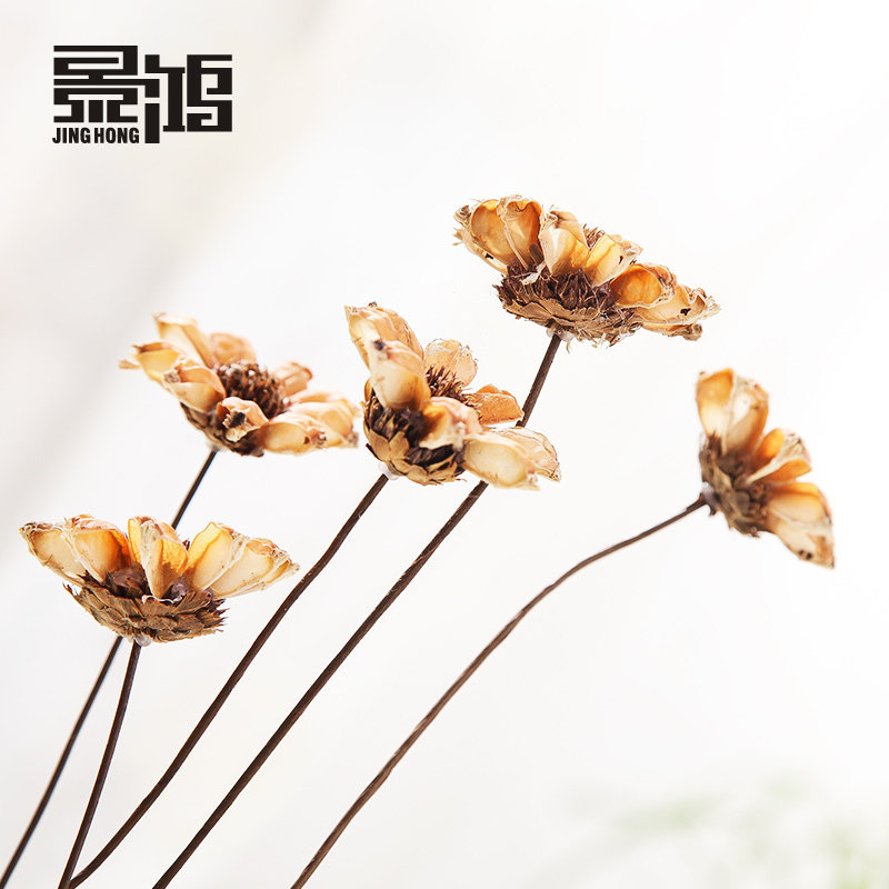 ���谢ɣ��װ�λ�0030