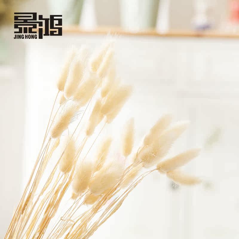 ������β��10֧һ��װ�λ�