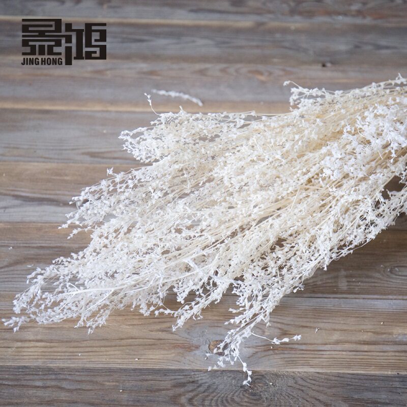 ����ٲݰ�ƫ��װ�λ�