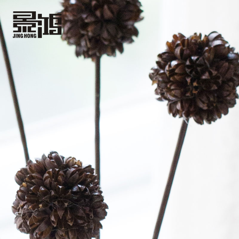 ����ɻ��ɹ������ڼ�