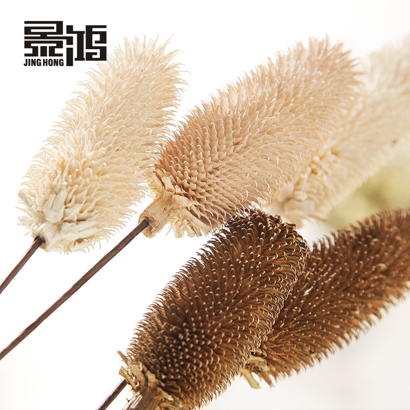 ������ë��/��԰װ�λ�