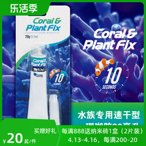 National Aquarium glue P Alon Fish Bowl Watercrafting Moss Glue Water Water Water Wood and Izda Mouth Glum