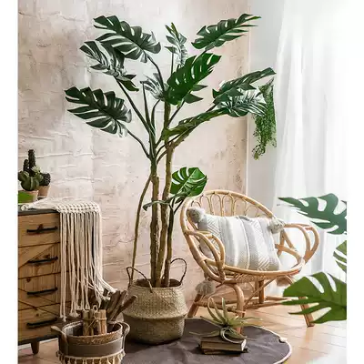 Simulation plant decoration large-scale Nordic fake green plant potted ornaments traveler Canna turtle back Taro sabiao hanging Bell landing