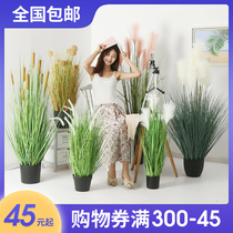 Nordic large simulation plant potted reed grass fake grass decorative bonsai ornaments ins Wind home landing green plant