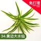 Mô phỏng nhà máy tường cây xanh tường giả cỏ trang trí nền hoa tường ban công trong nhà nhựa bạch đàn cỏ - Hoa nhân tạo / Cây / Trái cây chậu hoa giả