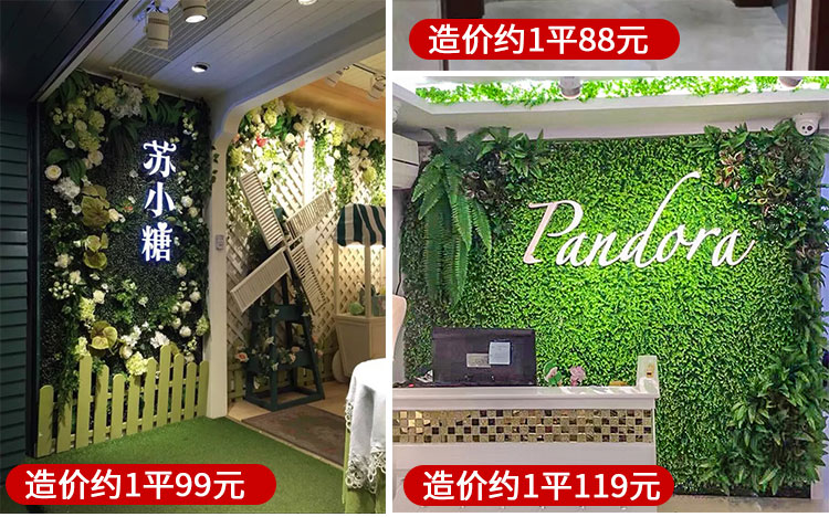 Cây xanh tường mô phỏng cây trang trí tường phòng khách nội thất nền hoa tường màu xanh lá cây treo tường nhựa giả ban công - Hoa nhân tạo / Cây / Trái cây hoa lan giả cao cấp