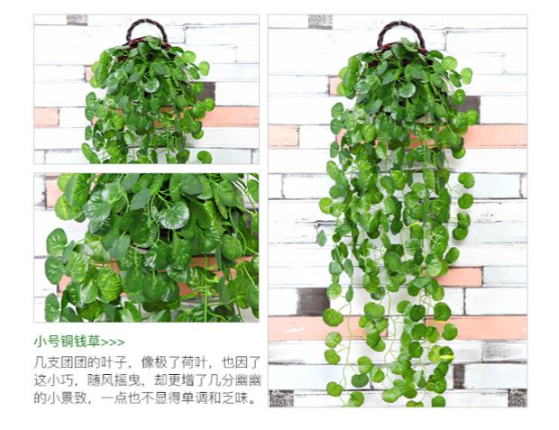 Cây mô phỏng hoa giả mây nho cây xanh tường trong nhà ống nước điều hòa không khí trang trí lá xanh treo tường cây nhện - Hoa nhân tạo / Cây / Trái cây bình hoa giả