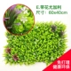 Mô phỏng nhà máy tường cây xanh tường giả cỏ trang trí nền hoa tường ban công trong nhà nhựa bạch đàn cỏ - Hoa nhân tạo / Cây / Trái cây chậu hoa giả