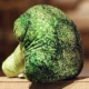 Брокколи