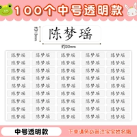 100 средних прозрачных моделей по умолчанию регулярное регулярное тело [имя замечания]