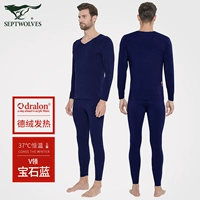[Polar Professional теплый 280 г/㎡] v -neck (Gem Blue)