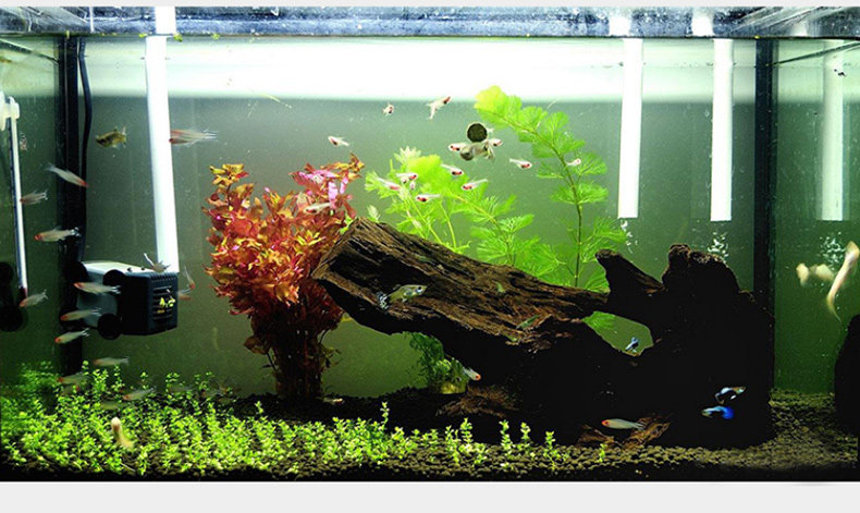 Клей аквариумов в соответствии с объяснением подробностей_03.jpg