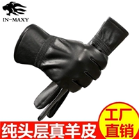 Чистая модель кожаной кожи овчины