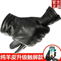 Цельная овчина [кнопки сенсорного экрана] ---- мужской тонкий бархат