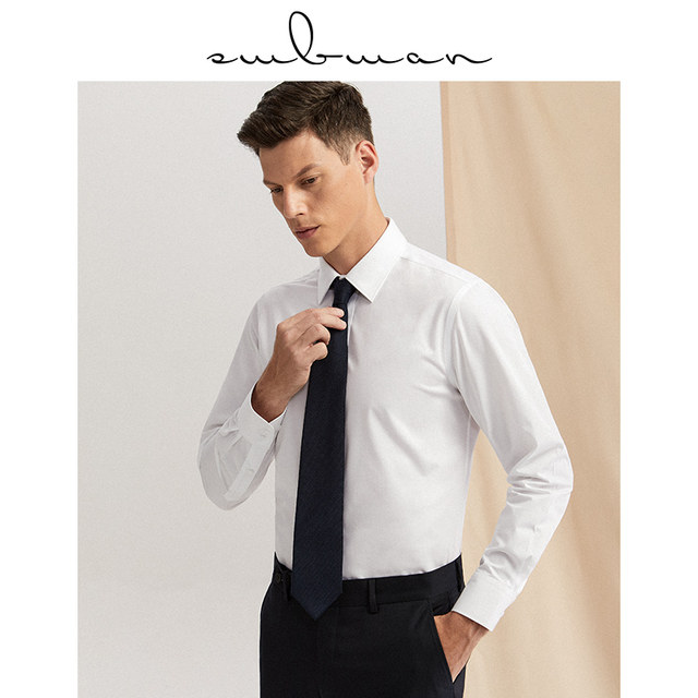 Ten-meter cloth shirt men's long-sleeved business self-cultivation non-ironing Korean version of professional dress work work suit white shirt men