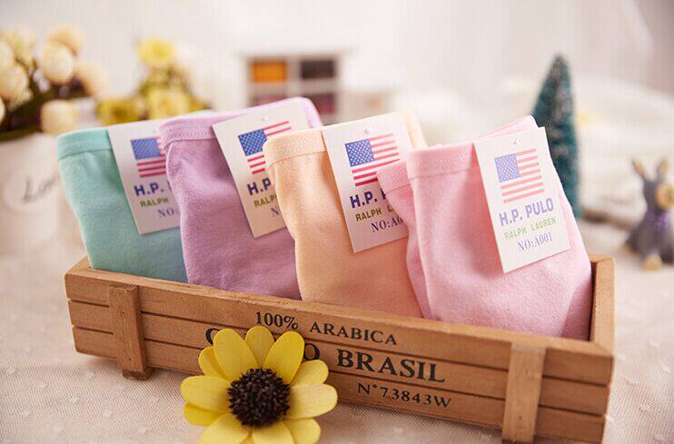 Slip en coton - Ref 641476 Image 7