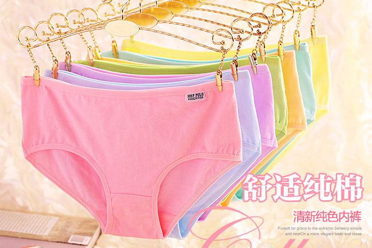 Slip en coton - Ref 641476 Image 10