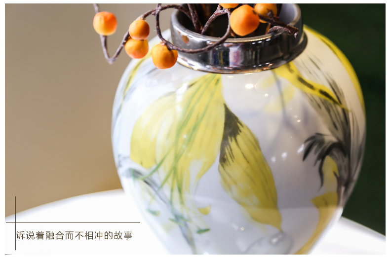 Jingdezhen new Chinese style originality general tank furnishing articles sitting room porch ark of TV ark of tea table and what soft outfit floret bottle