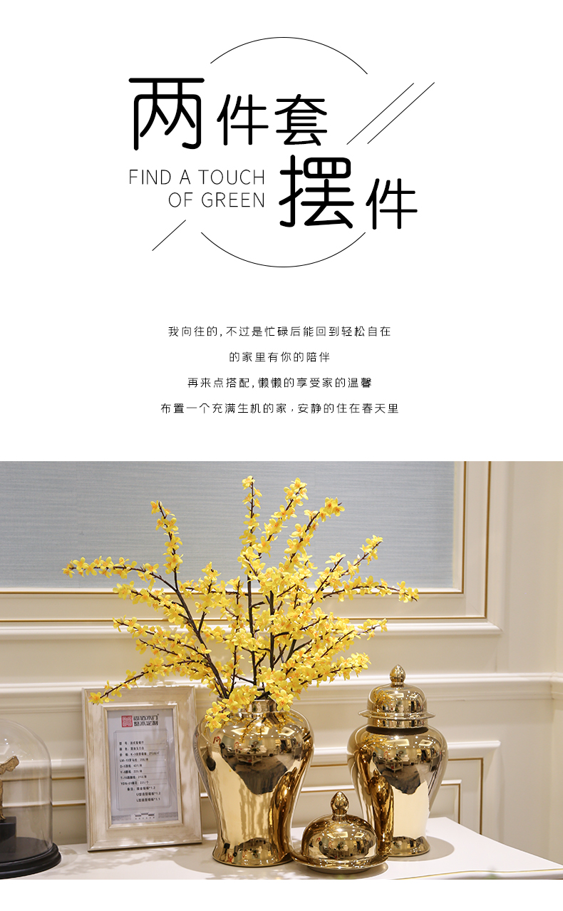The General light European - style key-2 luxury furnishing articles contracted tank vase ceramic piggy bank caddy fixings candy jar decoration decoration