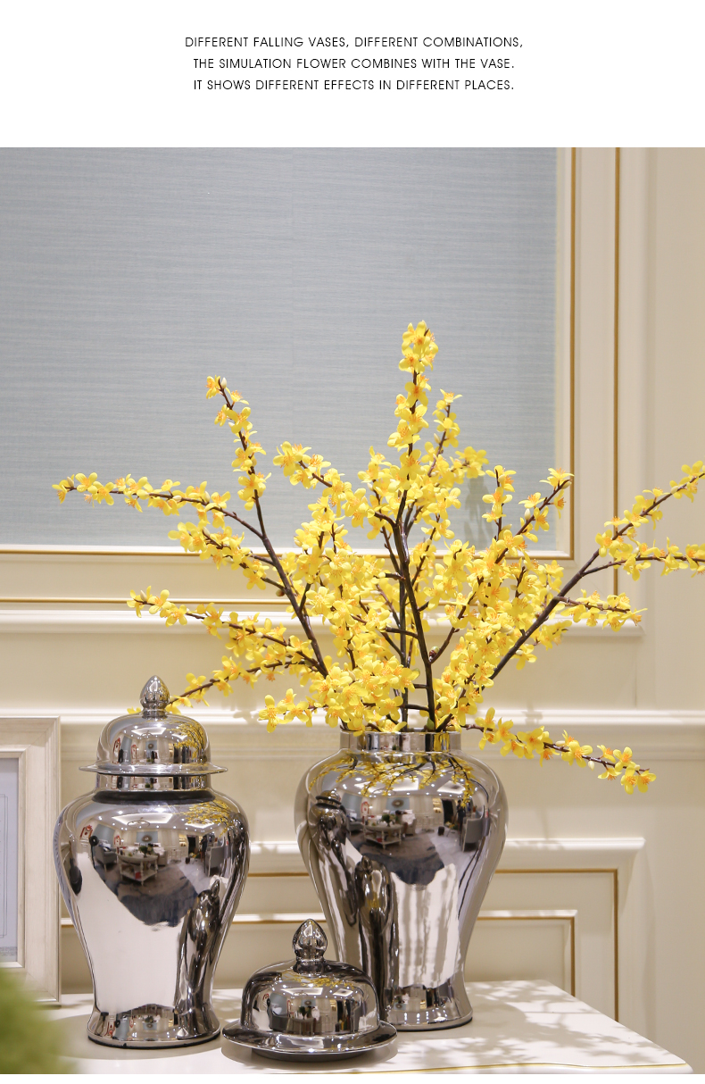 The General light European - style key-2 luxury furnishing articles contracted tank vase ceramic piggy bank caddy fixings candy jar decoration decoration