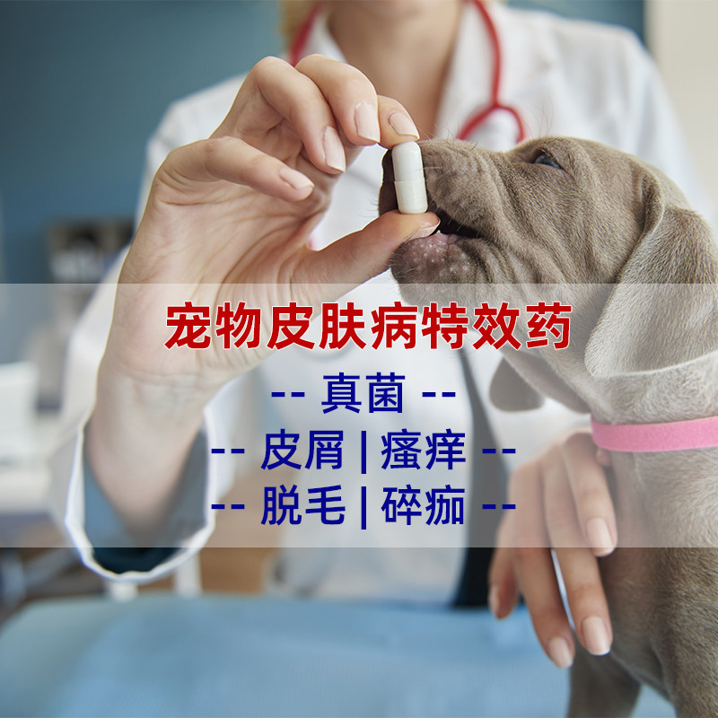 Winged sky skin disease oral special effects fungal bacterial infection