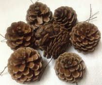 Heidi Christmas tree decorations exported to Europe and the United States rural floral flower color Christmas pine cone with iron line decoration