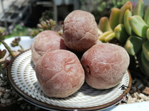 Two pounds of Yunnan Dali specialty Yangji carved plum Yunbao crispy plum fresh snack preserved fruit sweet and sour 500 grams