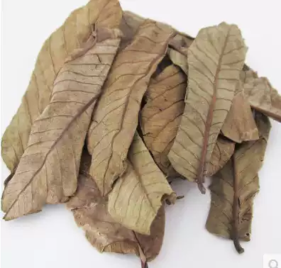 Chinese herbal medicine guava leaf guava tea drink guava leaf 500g 2kg