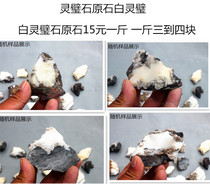 White Lingbi stone Raw stone White Lingbi stone Strange stone ornaments Bonsai ornaments Turtle stone Lotus petal stone