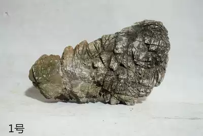 Turtle pattern stone bonsai fish tank landscaping with stone One thing one shot Landscaping Bonsai stone Turtle pattern stone hyperlink two