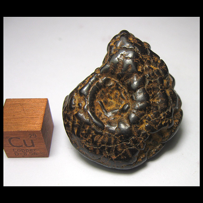 Fossil AF4702B7 * brown iron mineralized inulin (Morocco 3 5cm18 2g) XF