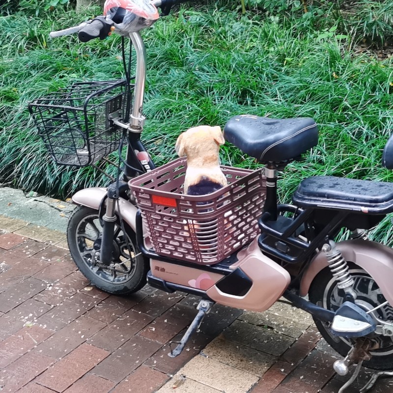 电动车带狗狗座椅脚踏板宠物筐中置款电瓶车摩托车载狗遛狗神器，让你的宠物出行无忧！