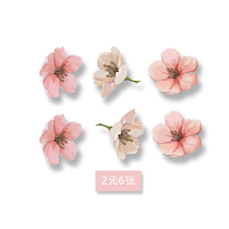 Net red tattoo stickers ins Wind hand disposable waterproof female long-lasting simple collarbone sexy cherry blossom color sticker