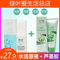 Green Leaves Love Life Aloe Vera Gel vitriolic water Living stock liquid Water tonic Acne Deity Aloe Vera Cream