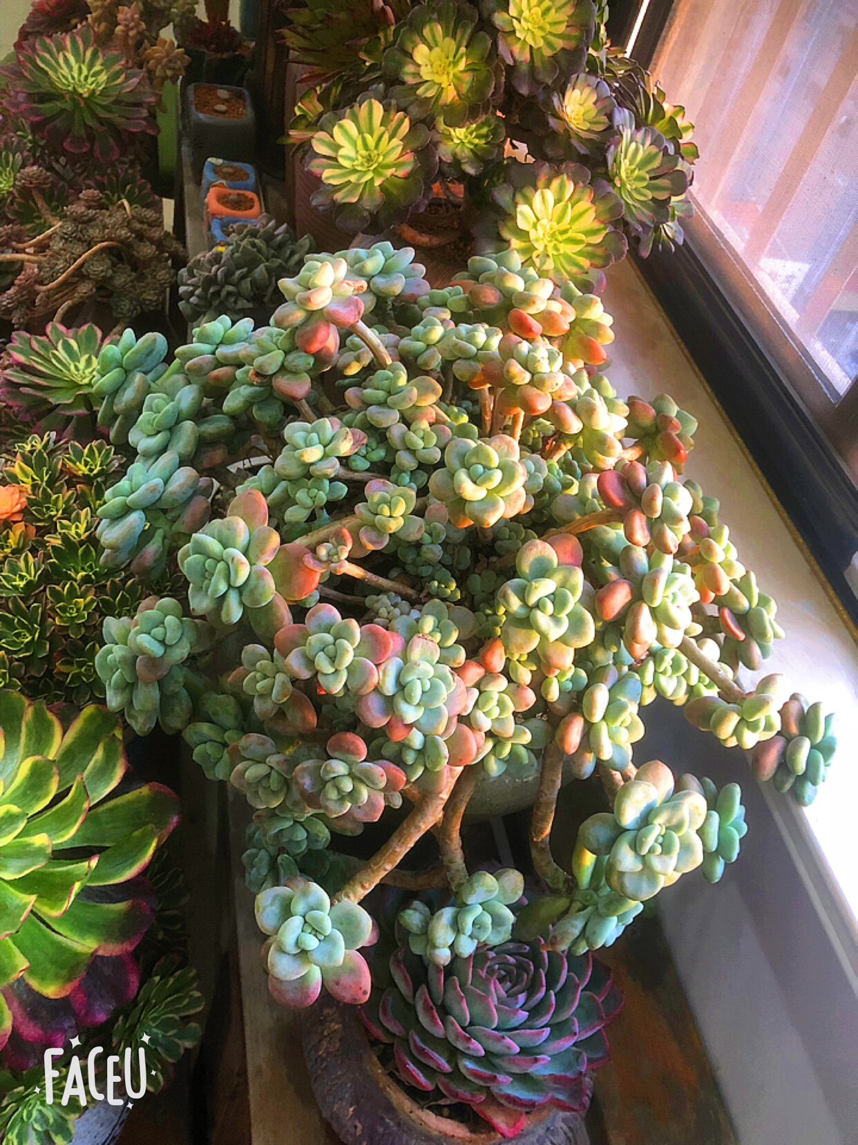 精品百货精选