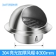 304 Share Light Special (300 мм) с установленным винтом