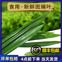 Fresh banchan leaves fragrant orchid leaves southeast Asian seasoned mango glutinous rice products 500g