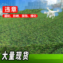 Double-layer thick jungle shading decoration net household sun room shading green net 13951171093