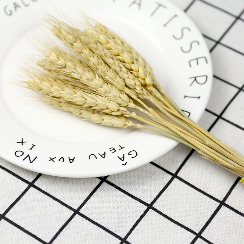 Natural Air-dried Wheat Ears Wheat Ears Wheat Ears Dry Bouquet Naughty Photo Gourmet Food Shooting Backdrop Decorative Props