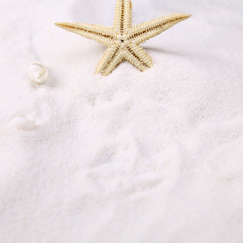 White Sand 200g Ocean Wind Photo Taobao Shop Sand for Taobao Shop Photography Prop Sand