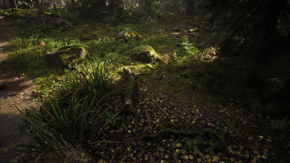 在环境创建的Nordic Conifer Biome - 虚幻引_451d5759.jpg