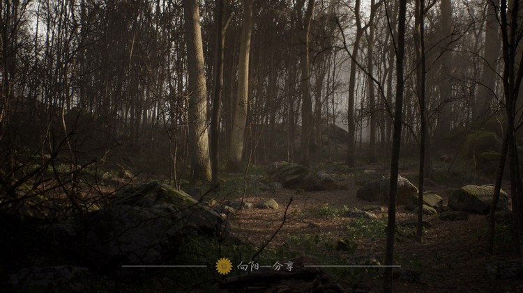 Procedural Forest 写实破败枯木荒凉森林树林藻泽场景