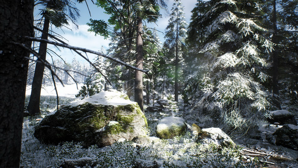 在环境创建的Nordic Conifer Biome - 虚幻引_07d57c83.jpg