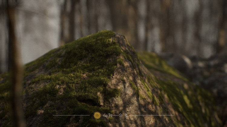 Procedural Forest 写实破败枯木荒凉森林树林藻泽场景