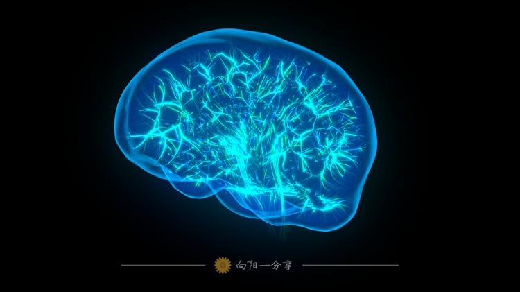 NeuroFractals Pack 未来科技能量线条光线